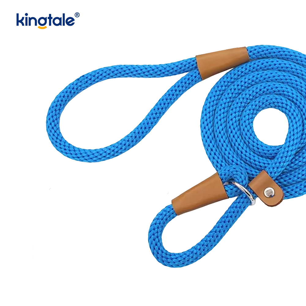 Leash Madra Duillín níolón Uigí