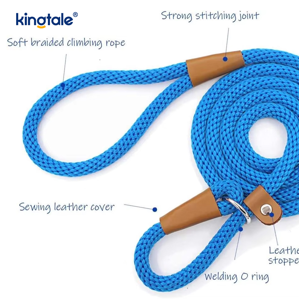 Leash Madra Duillín níolón Uigí