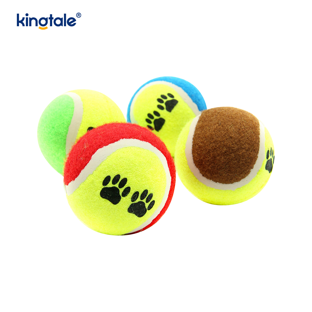 Leadóg Pet Toy CRUA agus bite-resistant do Pet Chew Cleachtadh Idirghníomhach