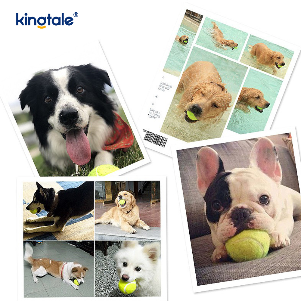 Leadóg Pet Toy CRUA agus bite-resistant do Pet Chew Cleachtadh Idirghníomhach