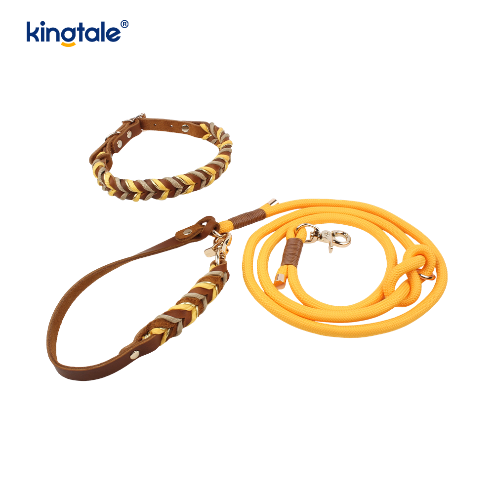 Coiléar Peataí Leathar Fíor & Leashes Collar Rópa Madraí & Leash Set