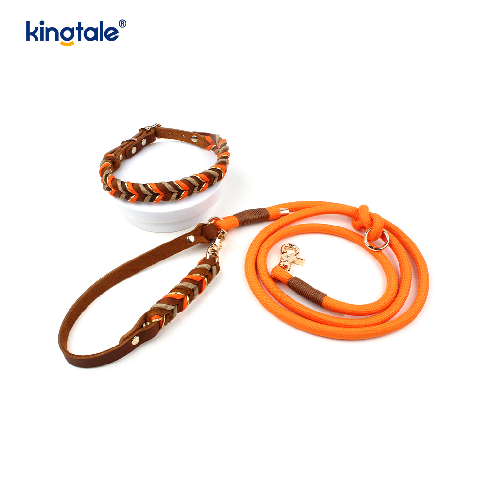 Coiléar Peataí Leathar Fíor & Leashes Collar Rópa Madraí & Leash Set