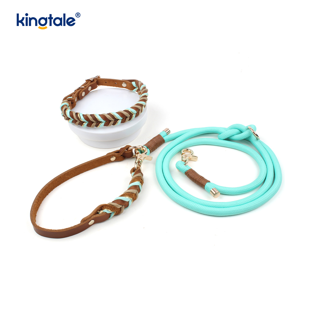 Coiléar Peataí Leathar Fíor & Leashes Collar Rópa Madraí & Leash Set