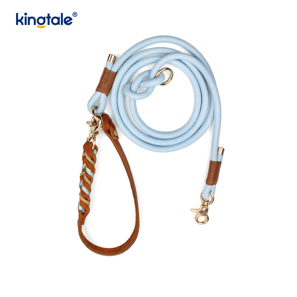 Coiléar Peataí Leathar Fíor & Leashes Collar Rópa Madraí & Leash Set