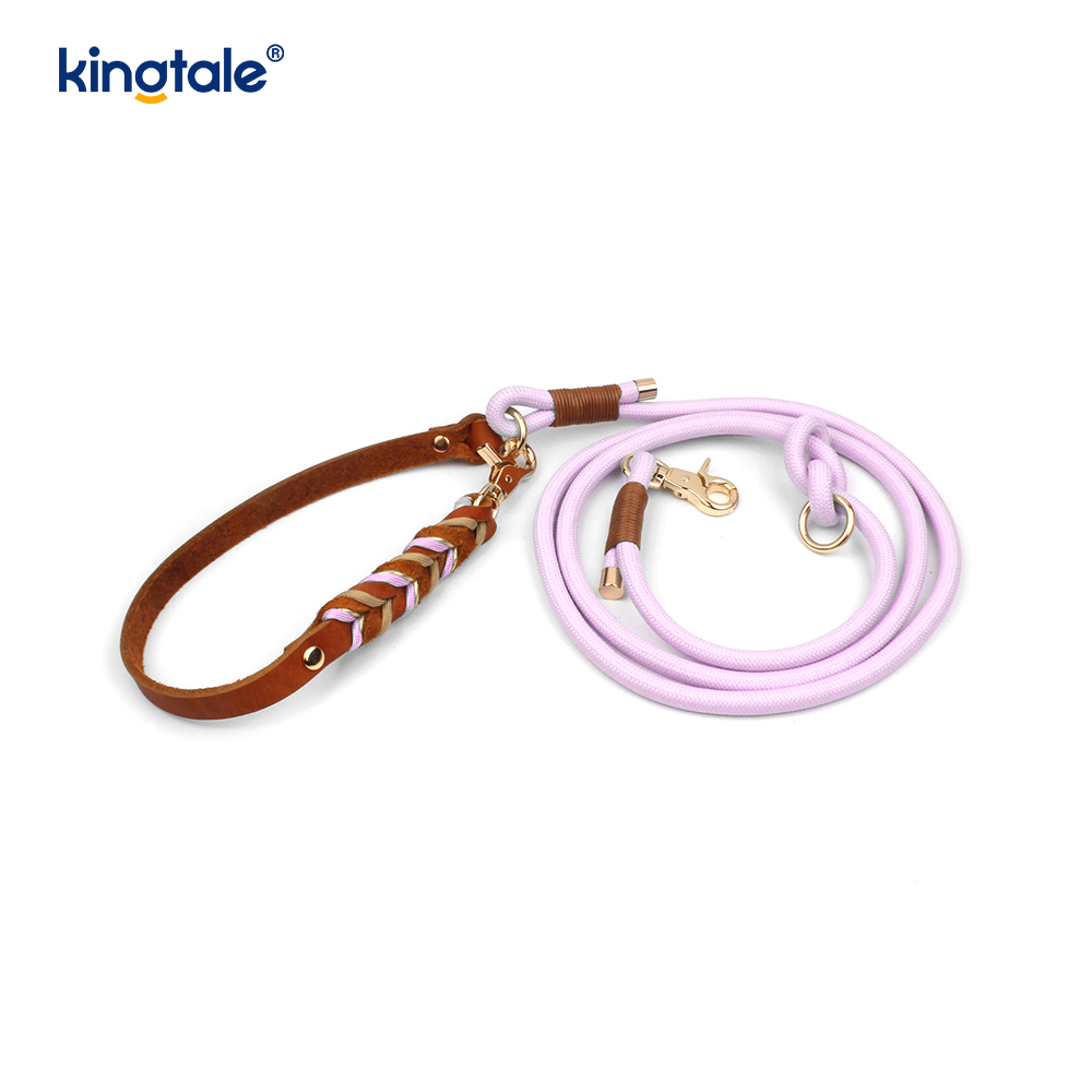 Coiléar Peataí Leathar Fíor & Leashes Collar Rópa Madraí & Leash Set
