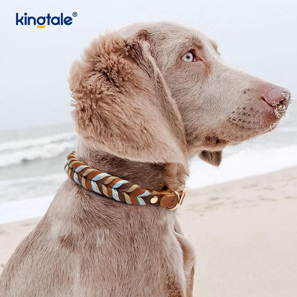Coiléar Peataí Leathar Fíor & Leashes Collar Rópa Madraí & Leash Set