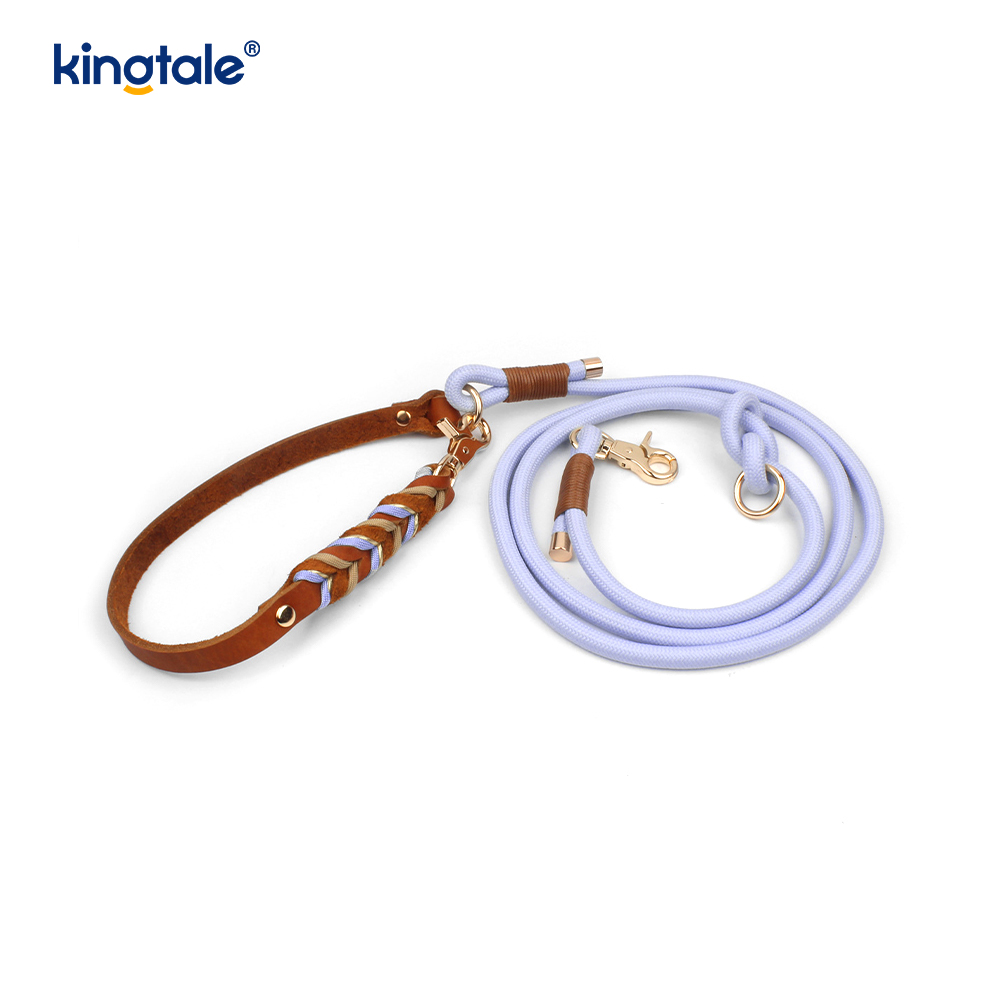 Coiléar Peataí Leathar Fíor & Leashes Collar Rópa Madraí & Leash Set