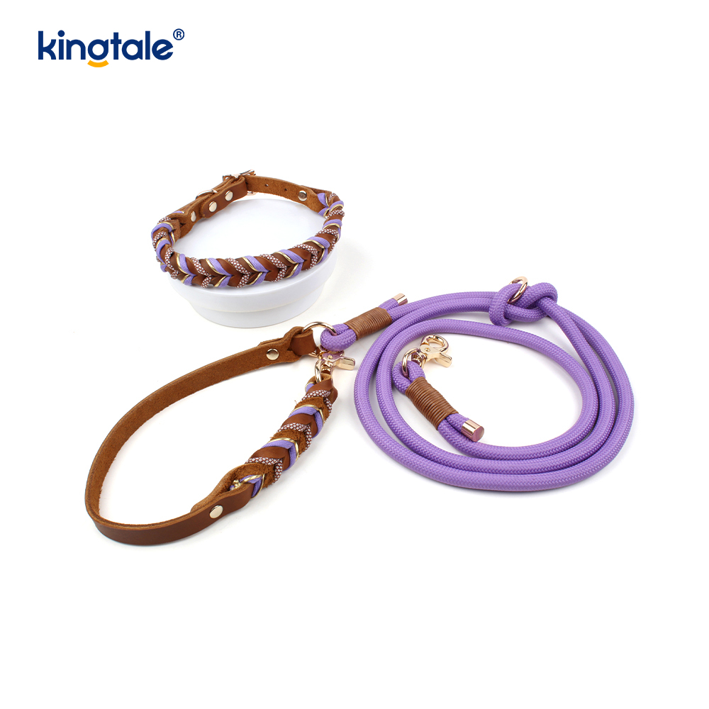 Coiléar Peataí Leathar Fíor & Leashes Collar Rópa Madraí & Leash Set