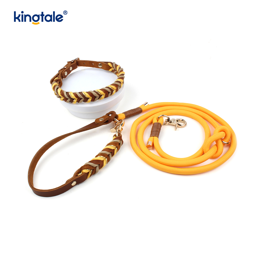 Coiléar Peataí Leathar Fíor & Leashes Collar Rópa Madraí & Leash Set