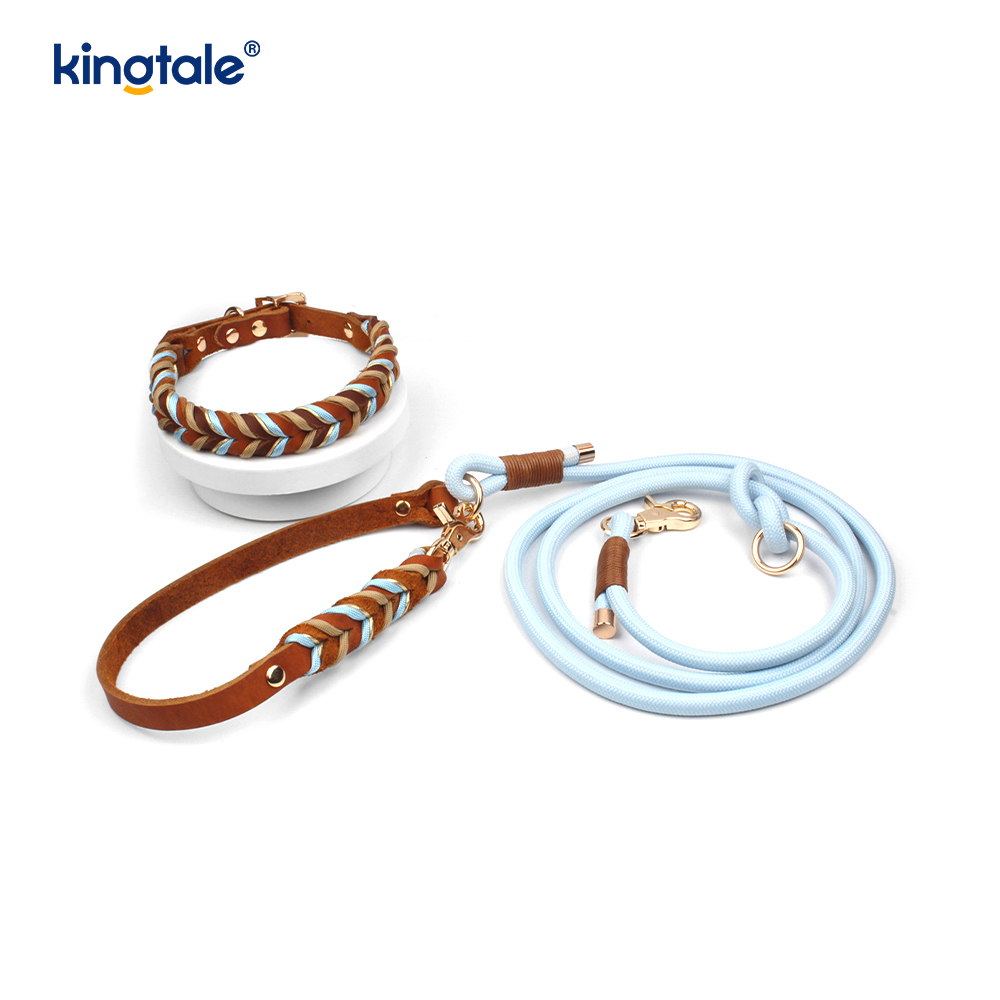 Coiléar Peataí Leathar Fíor & Leashes Collar Rópa Madraí & Leash Set