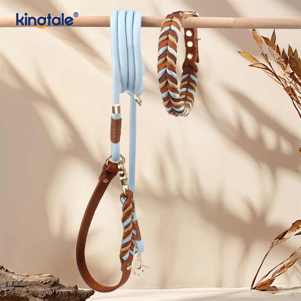 Coiléar Peataí Leathar Fíor & Leashes Collar Rópa Madraí & Leash Set