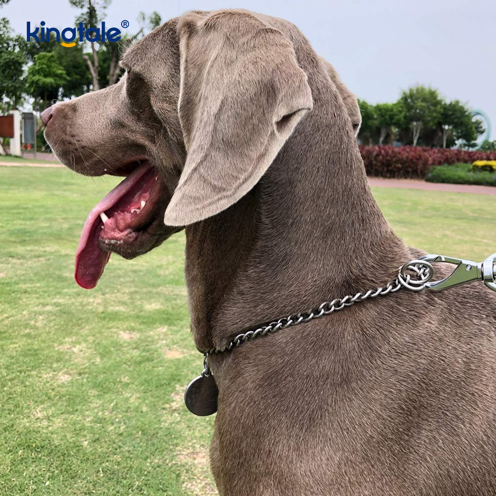 Miotal Oiliúna Madraí Choke Collar Duillín P Slabhra Trom Do Madraí