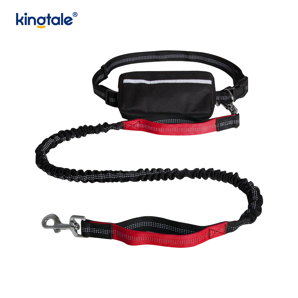 Leash Peataí Rith Dúbailte Leaisteacha Machnamhach Le Zipper Pouch
