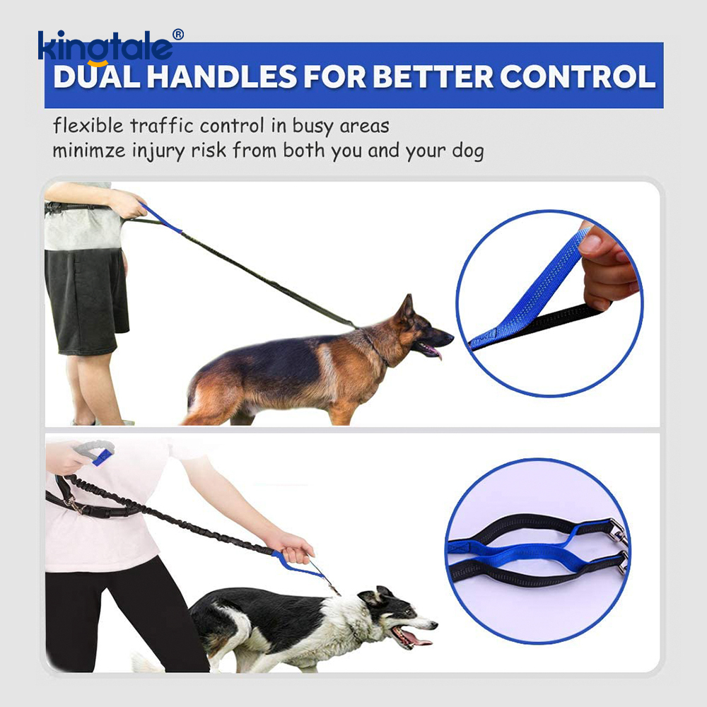 Leash Peataí Rith Dúbailte Leaisteacha Machnamhach Le Zipper Pouch