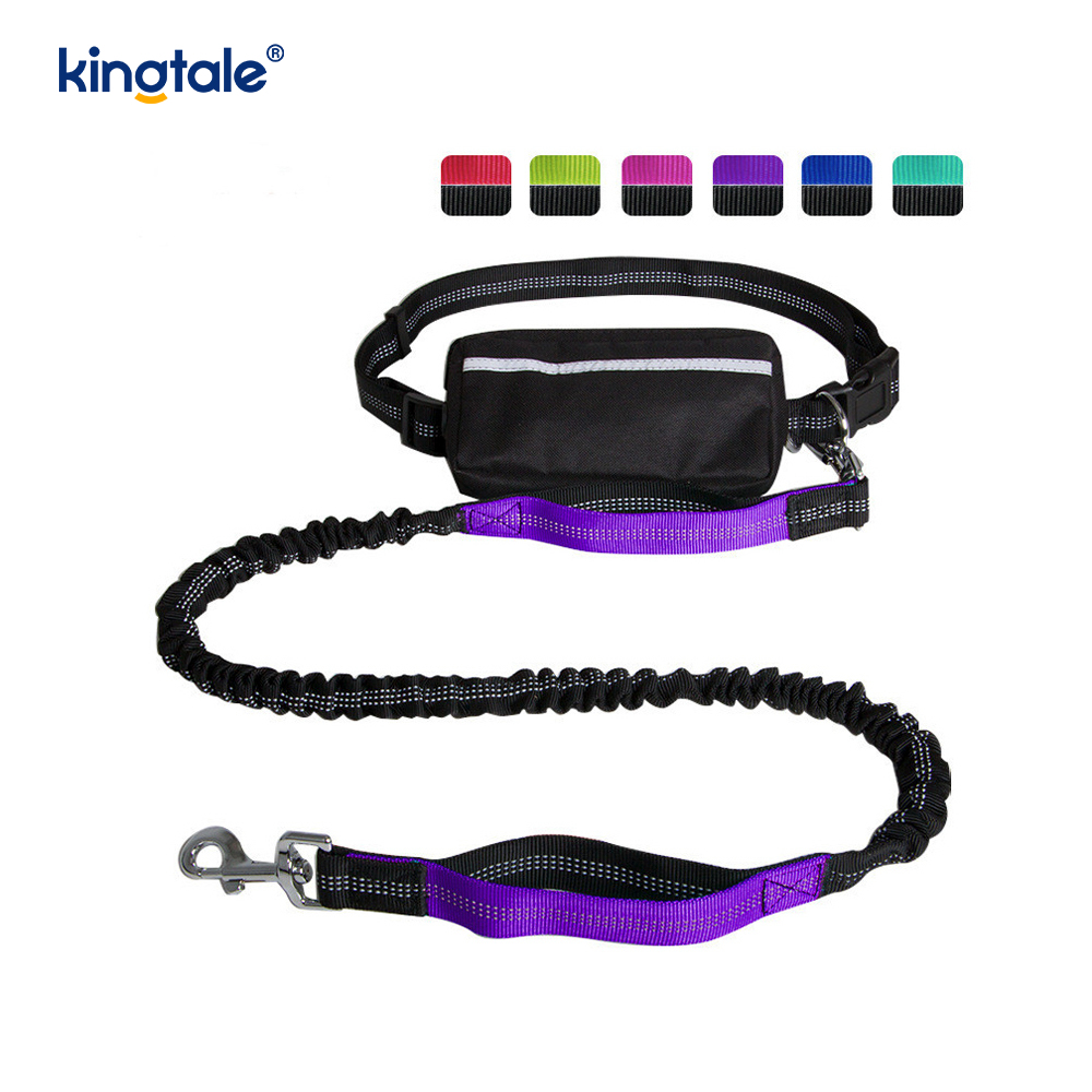 Leash Peataí Rith Dúbailte Leaisteacha Machnamhach Le Zipper Pouch