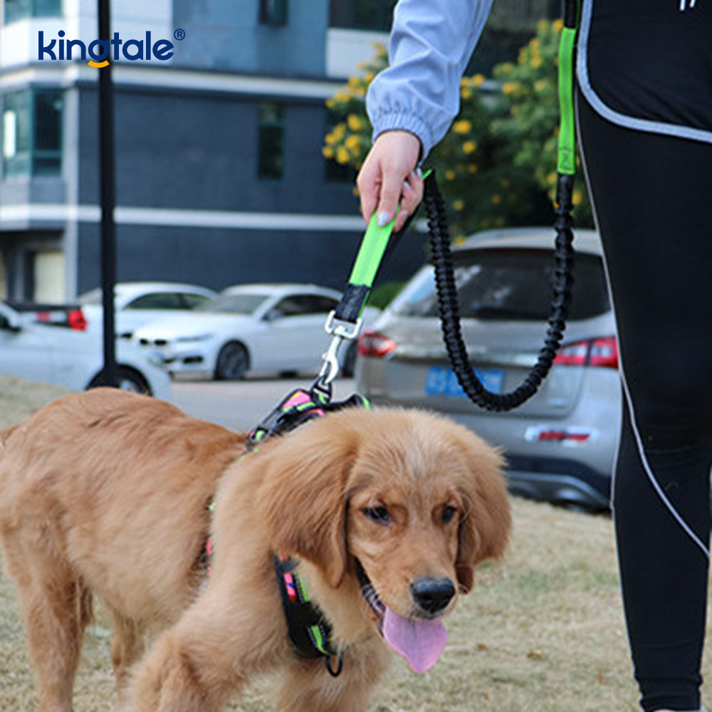 Leash Peataí Rith Dúbailte Leaisteacha Machnamhach Le Zipper Pouch