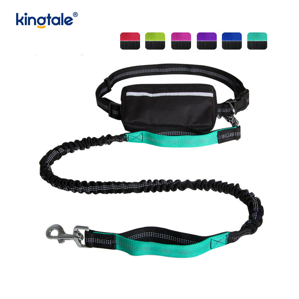 Leash Peataí Rith Dúbailte Leaisteacha Machnamhach Le Zipper Pouch