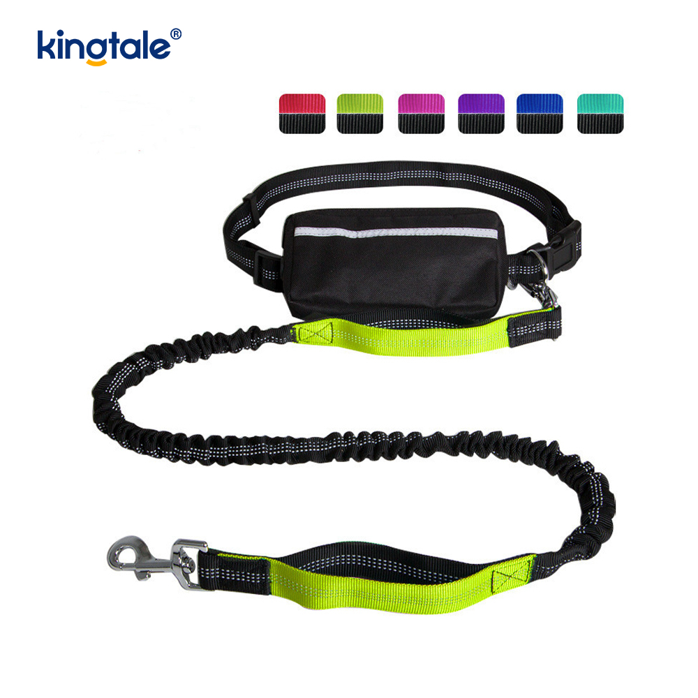 Leash Peataí Rith Dúbailte Leaisteacha Machnamhach Le Zipper Pouch
