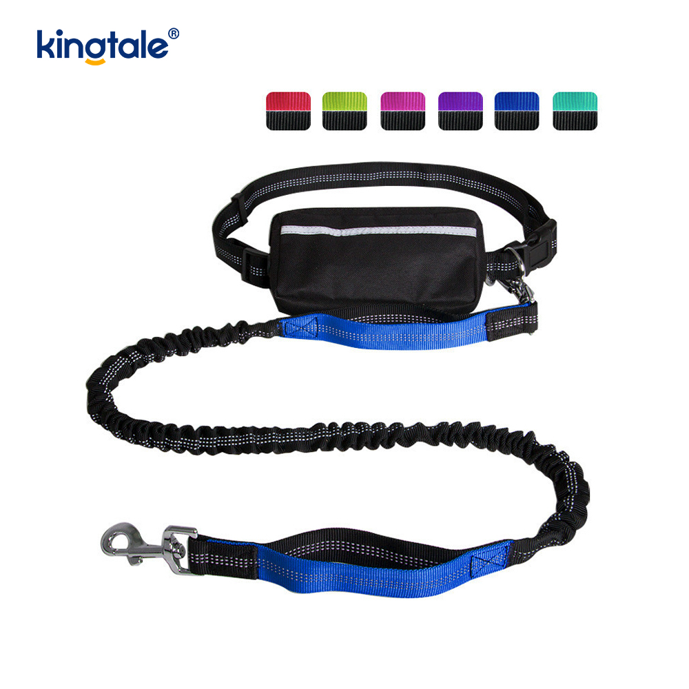 Leash Peataí Rith Dúbailte Leaisteacha Machnamhach Le Zipper Pouch