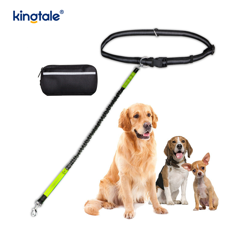 Leash Peataí Rith Dúbailte Leaisteacha Machnamhach Le Zipper Pouch