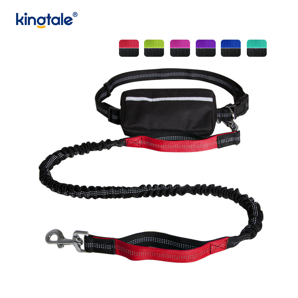 Leash Peataí Rith Dúbailte Leaisteacha Machnamhach Le Zipper Pouch