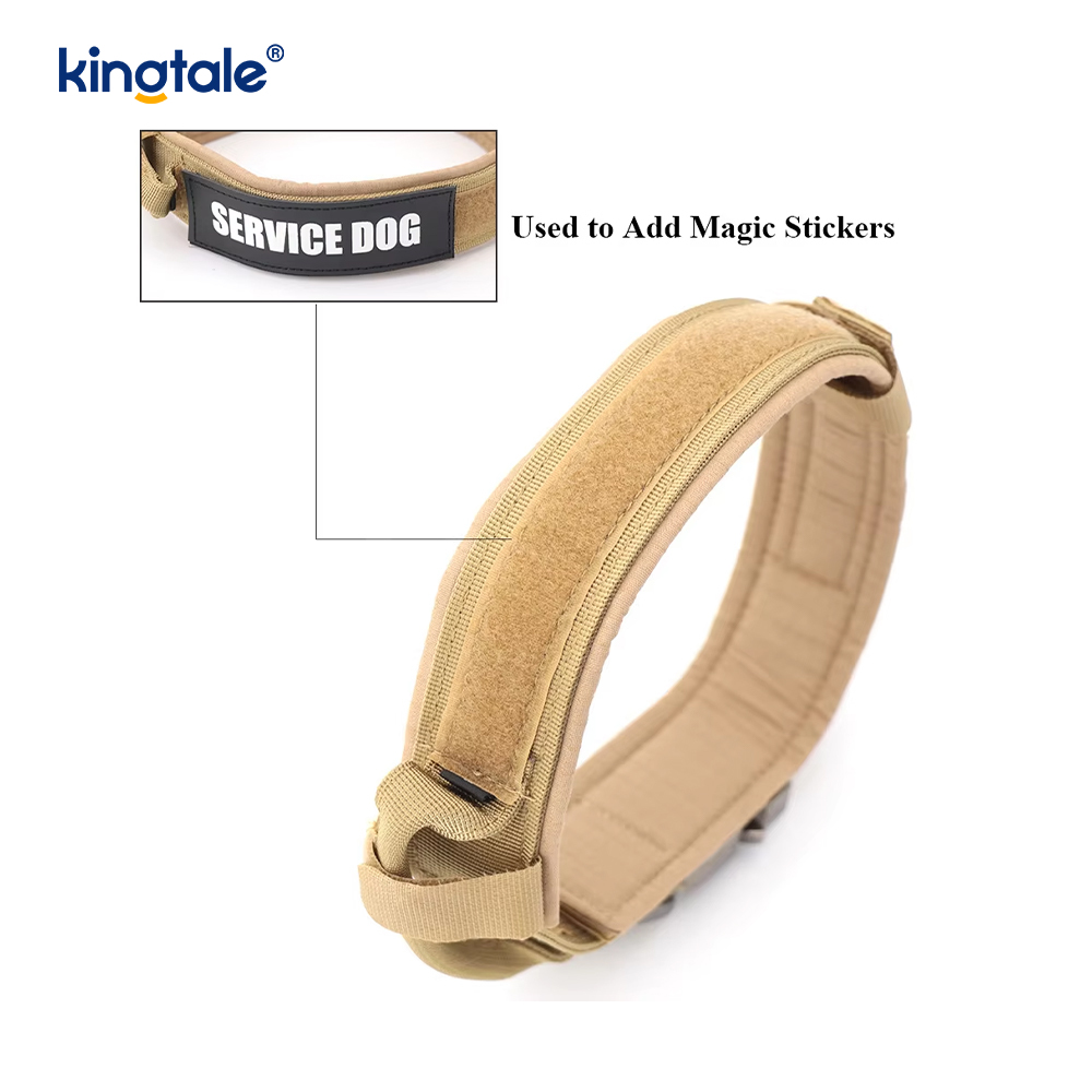 Miotal Búcla Belt Collar Madraí Dualgas Trom Collar Madraí Dualgas Trom