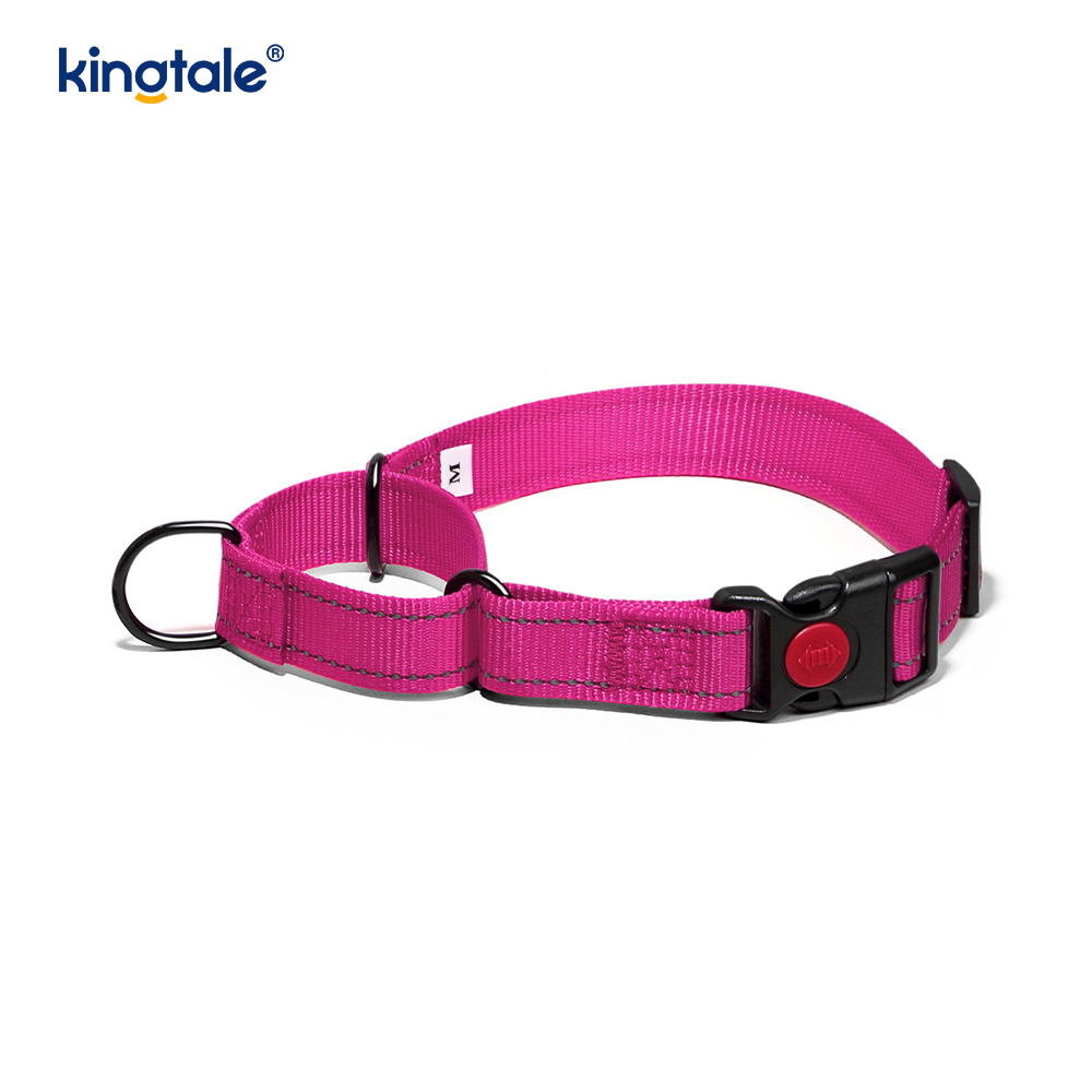Gan Tarraingt Machnamhach Machnamhach Inchoigeartaithe Collar Madraí Martingale Do Madraí SL