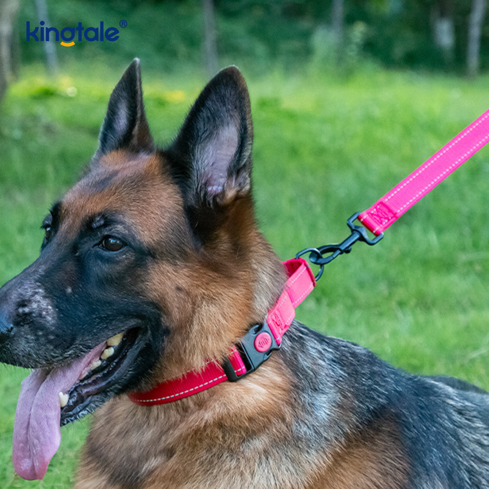 Gan Tarraingt Machnamhach Machnamhach Inchoigeartaithe Collar Madraí Martingale Do Madraí SL