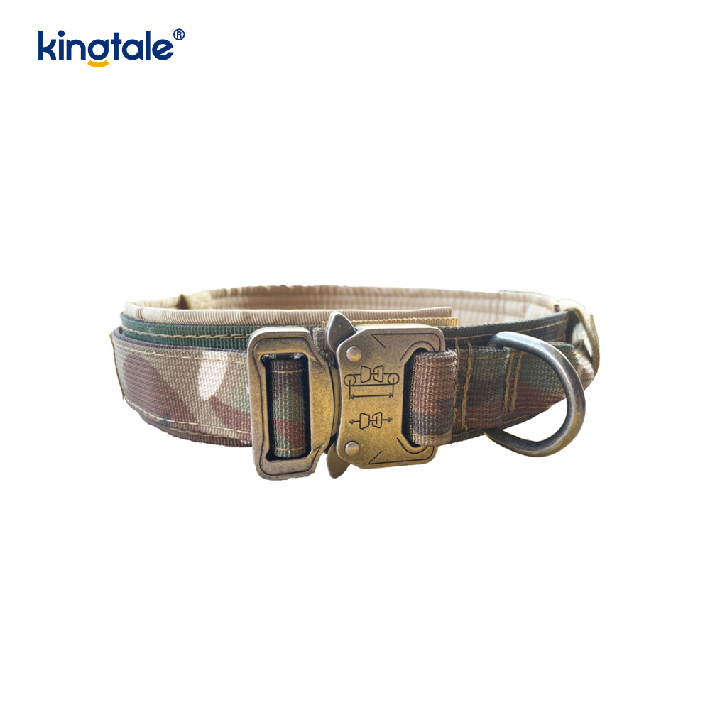 Miotal Búcla Belt Collar Madraí Dualgas Trom Collar Madraí Dualgas Trom