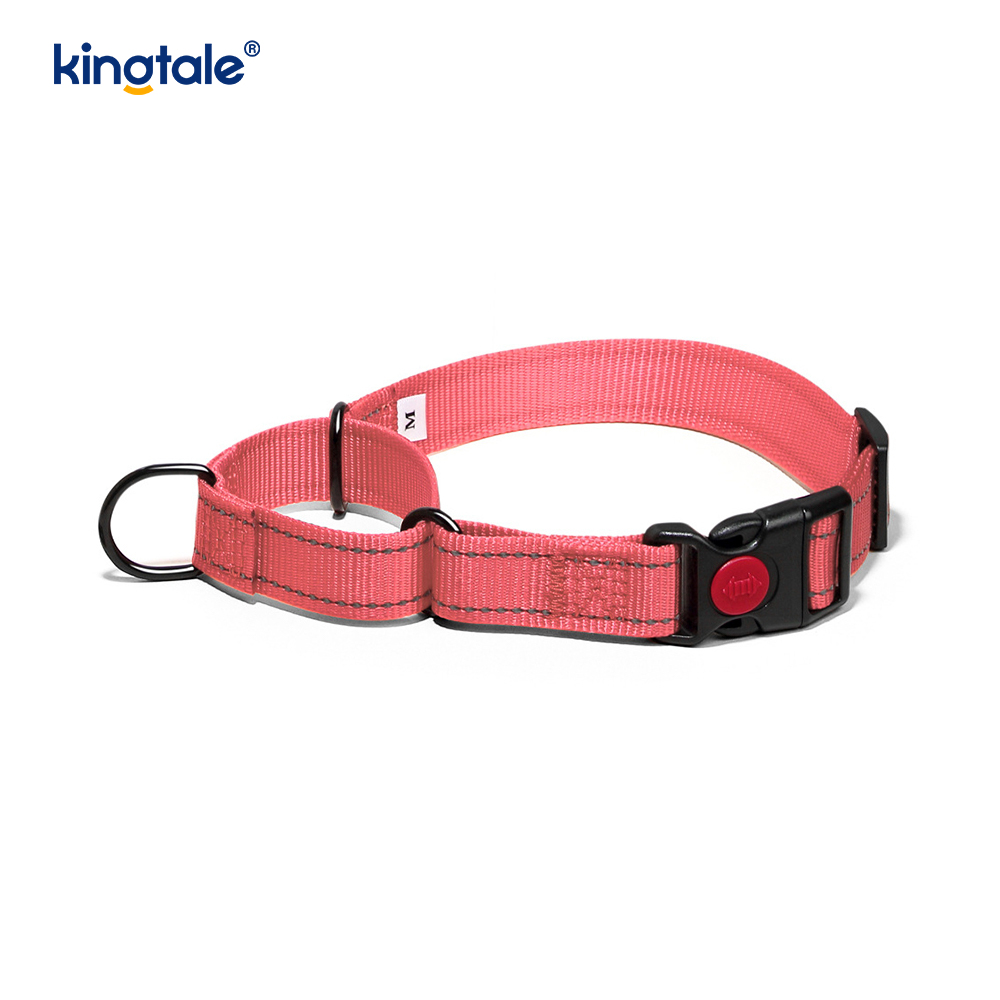 Gan Tarraingt Machnamhach Machnamhach Inchoigeartaithe Collar Madraí Martingale Do Madraí SL