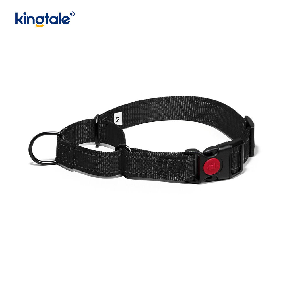 Gan Tarraingt Machnamhach Machnamhach Inchoigeartaithe Collar Madraí Martingale Do Madraí SL