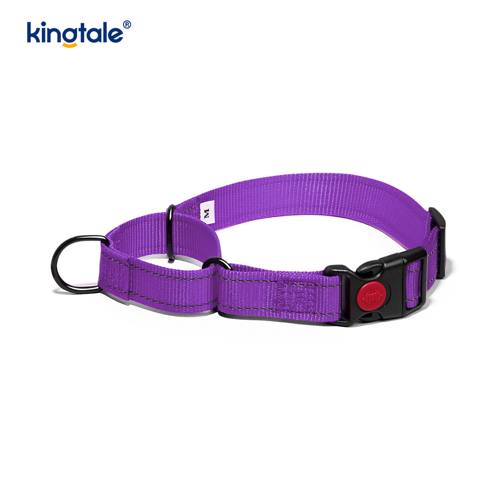 Gan Tarraingt Machnamhach Machnamhach Inchoigeartaithe Collar Madraí Martingale Do Madraí SL