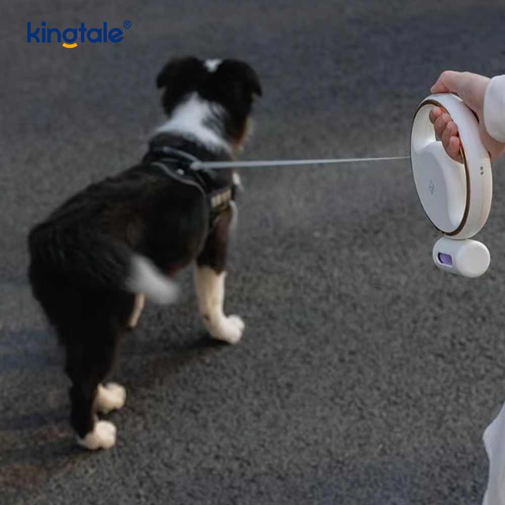 Soilsiú Simplí Faoi stiúir Nua-Aimseartha Leash Collar Madraí níolón Uathoibríoch Retractable