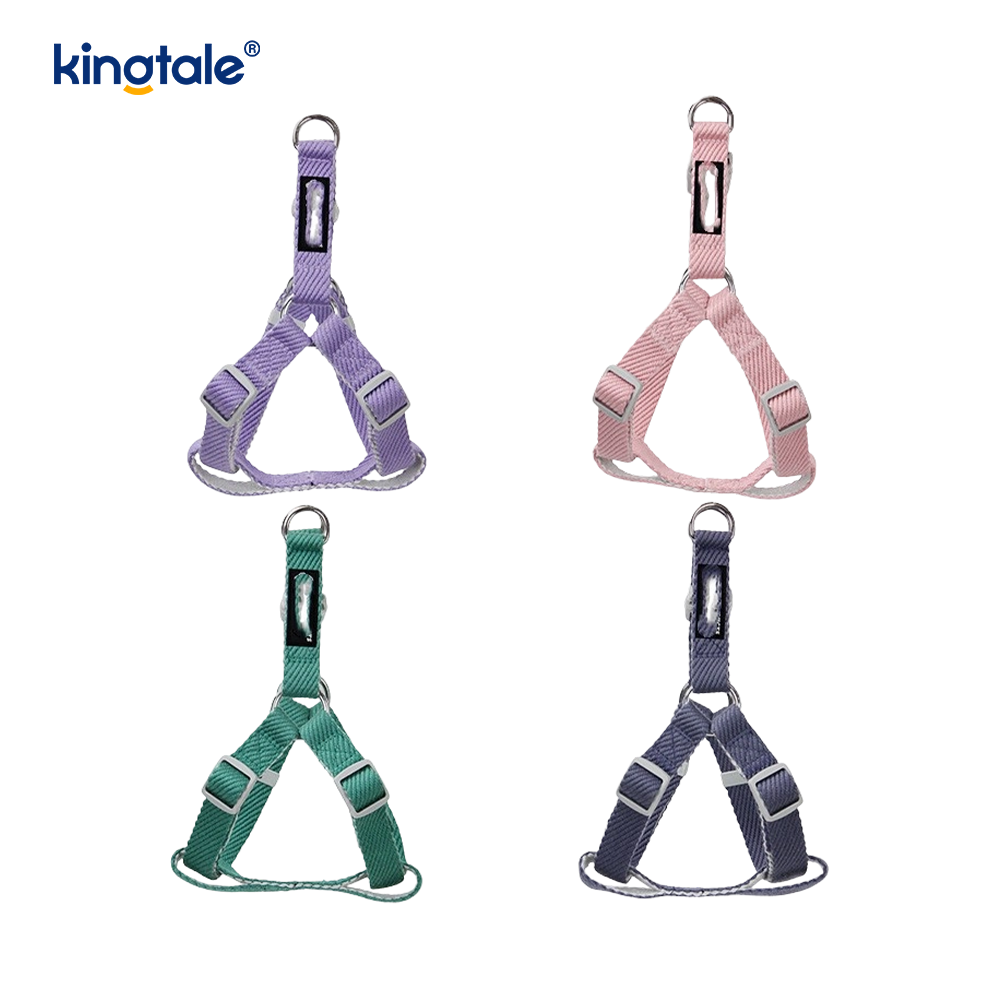 Pearsanaithe OEM/ODM Patrún Priontála Madraí Úim Collar Leash Set