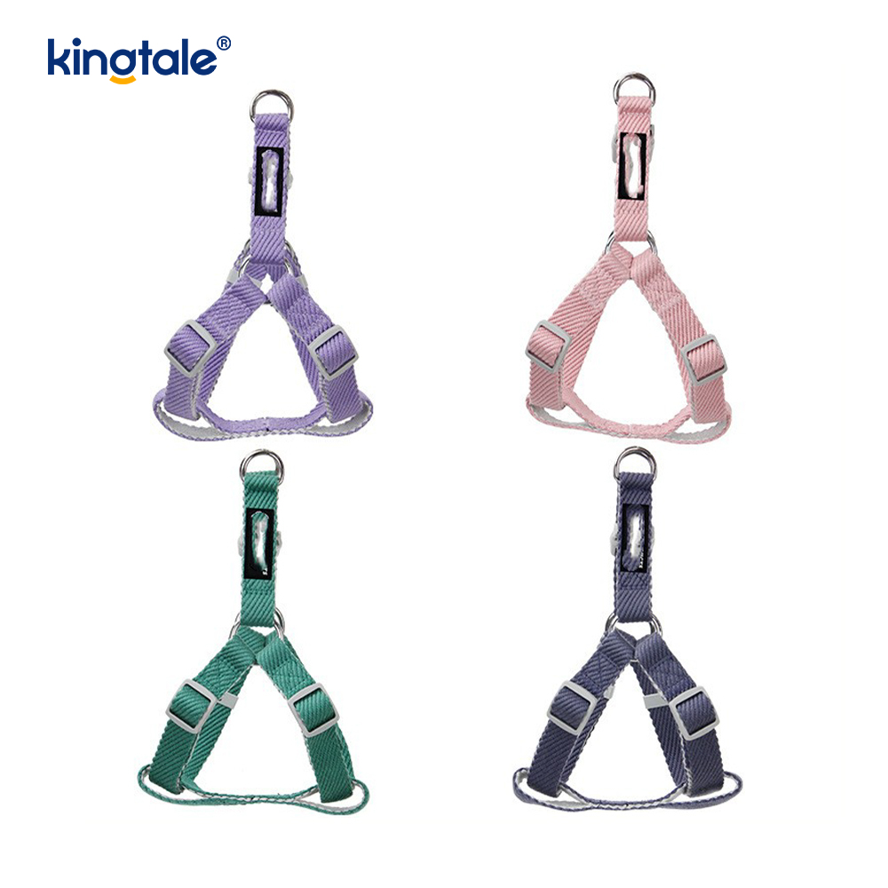 Pearsanaithe OEM/ODM Patrún Priontála Madraí Úim Collar Leash Set