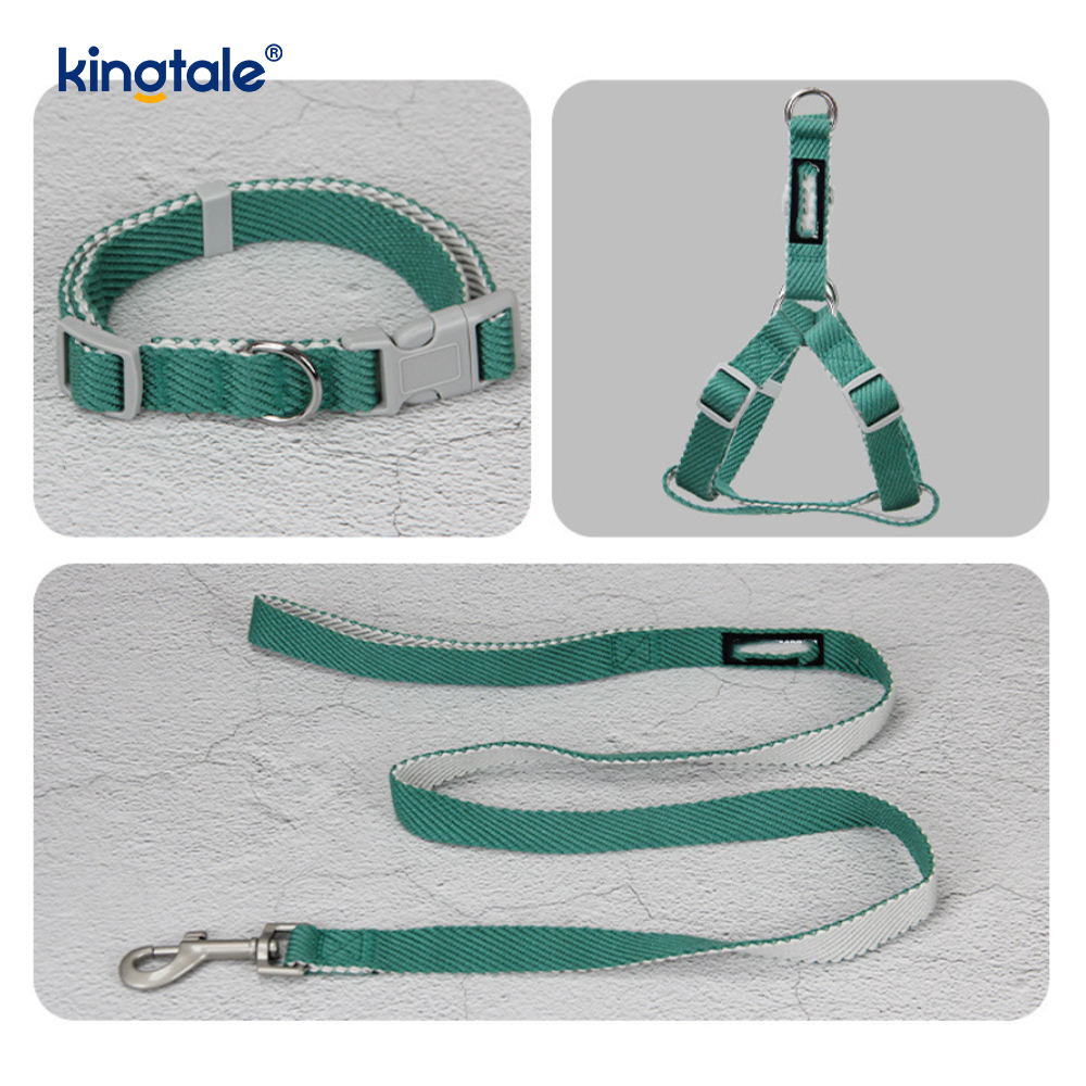 Pearsanaithe OEM/ODM Patrún Priontála Madraí Úim Collar Leash Set