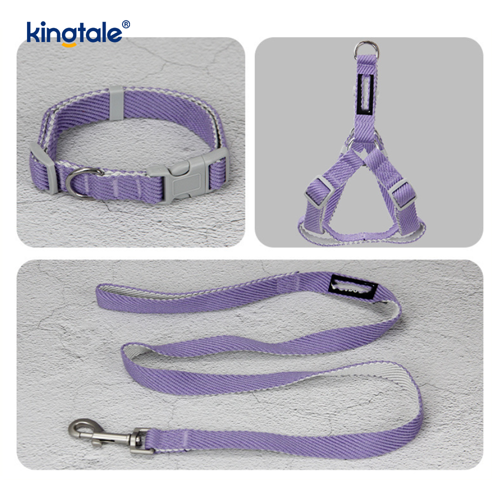 Pearsanaithe OEM/ODM Patrún Priontála Madraí Úim Collar Leash Set