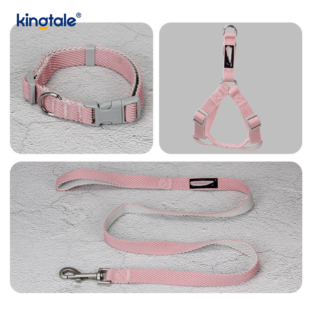 Pearsanaithe OEM/ODM Patrún Priontála Madraí Úim Collar Leash Set