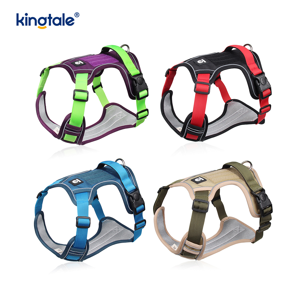 Rivet níolón Rivet Machnamhach Madra Peataí Spóirt Breathable Coigeartaithe