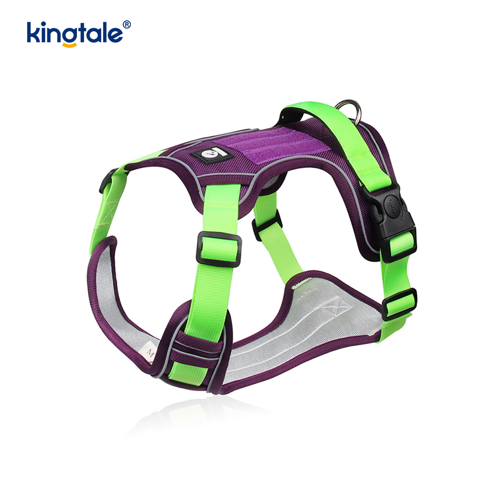 Rivet níolón Rivet Machnamhach Madra Peataí Spóirt Breathable Coigeartaithe