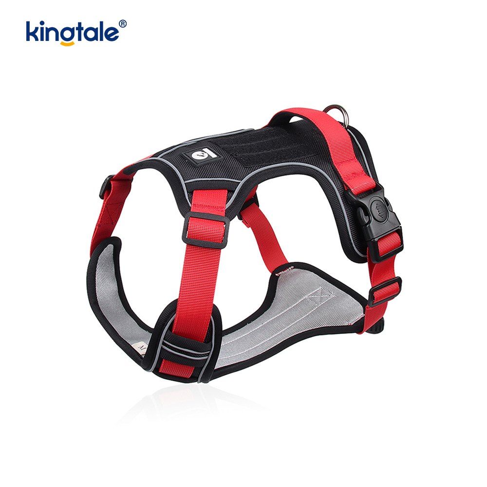 Rivet níolón Rivet Machnamhach Madra Peataí Spóirt Breathable Coigeartaithe