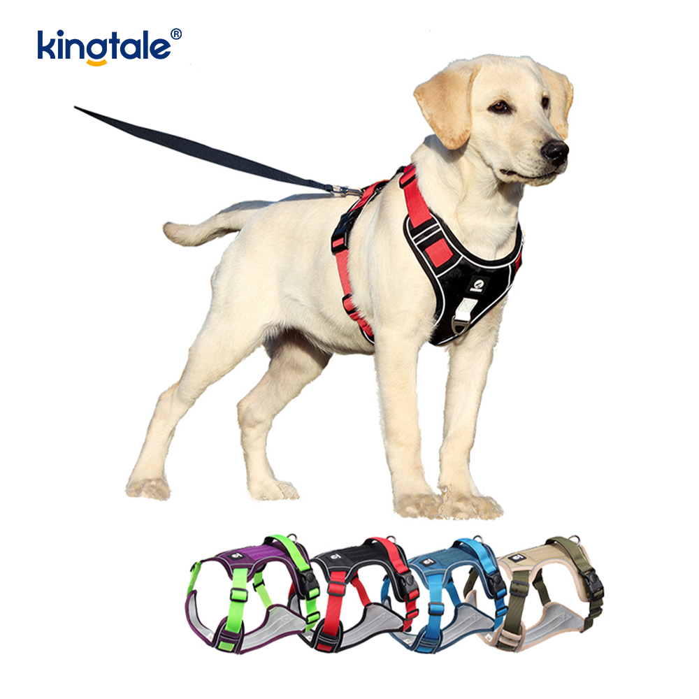 Rivet níolón Rivet Machnamhach Madra Peataí Spóirt Breathable Coigeartaithe