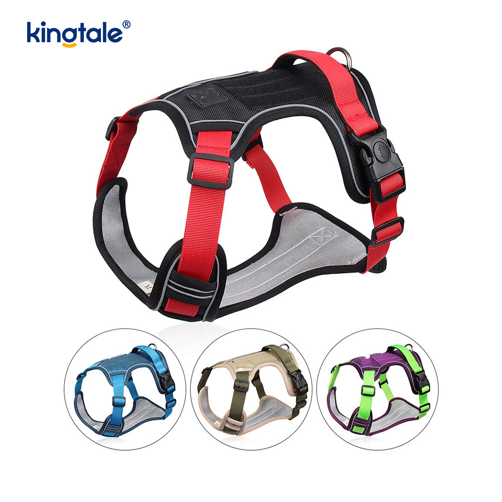 Rivet níolón Rivet Machnamhach Madra Peataí Spóirt Breathable Coigeartaithe