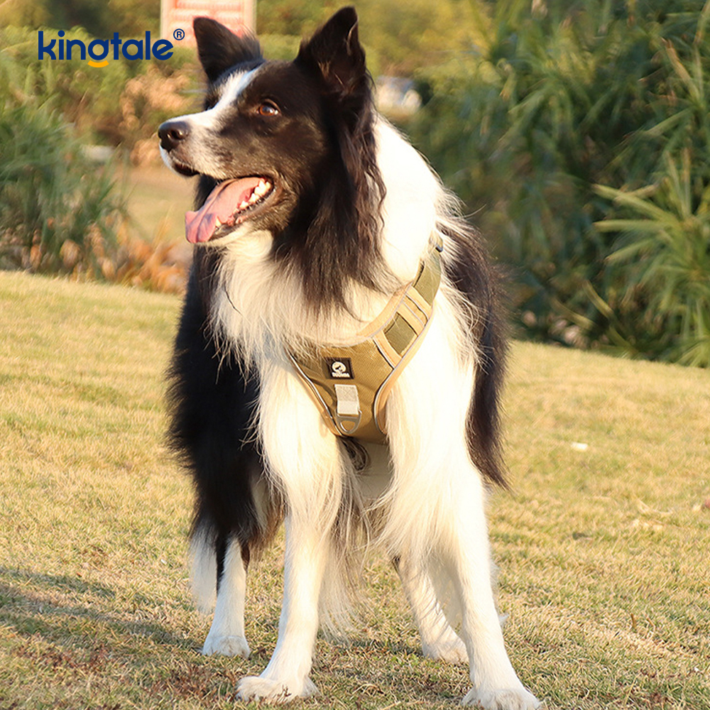 Rivet níolón Rivet Machnamhach Madra Peataí Spóirt Breathable Coigeartaithe