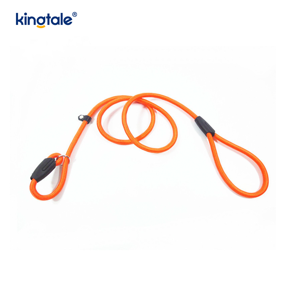 Duillín Luaidhe Madra Luaidhe Láidir Níolón Rope Leash Madra Luaidhe Oiliúna Do Peataí