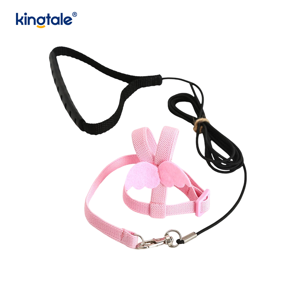 Saincheapadh Adjustable Flying Rope Peony Parrot Úim agus Leash Set