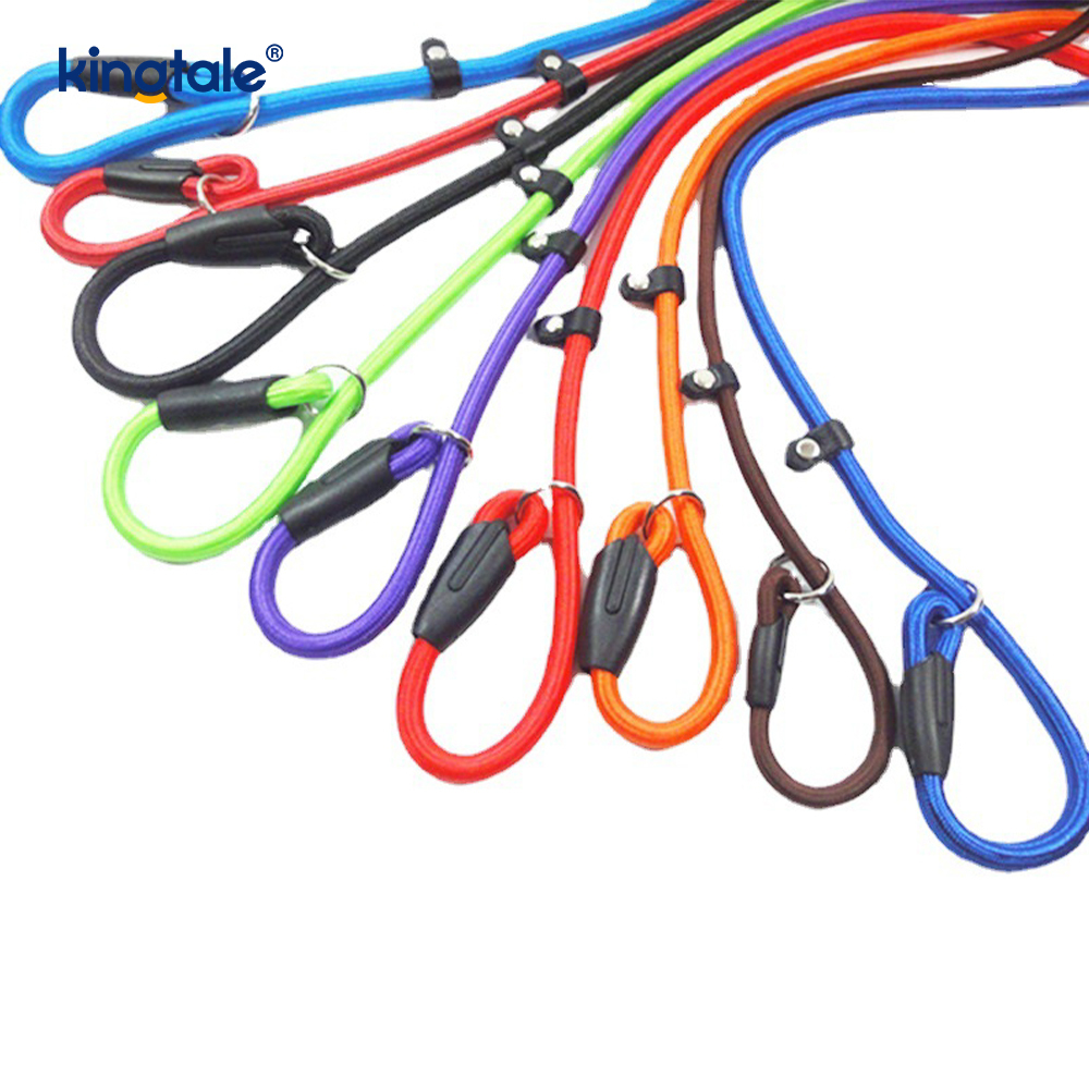 Duillín Luaidhe Madra Luaidhe Láidir Níolón Rope Leash Madra Luaidhe Oiliúna Do Peataí