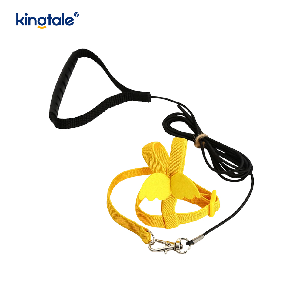 Saincheapadh Adjustable Flying Rope Peony Parrot Úim agus Leash Set