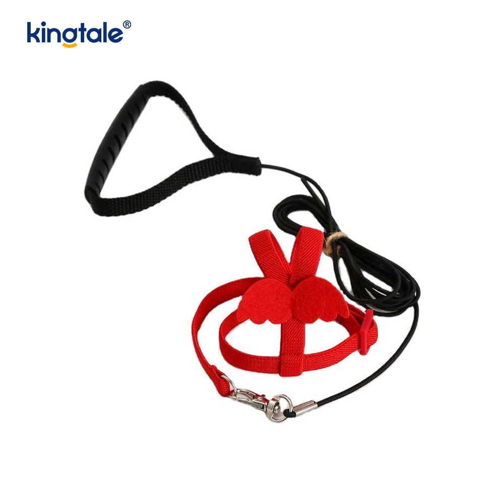 Saincheapadh Adjustable Flying Rope Peony Parrot Úim agus Leash Set