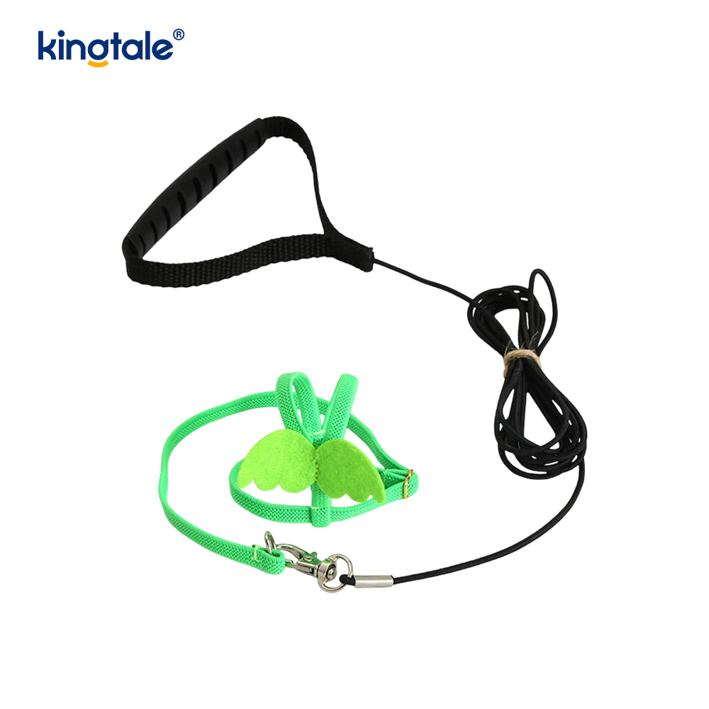 Saincheapadh Adjustable Flying Rope Peony Parrot Úim agus Leash Set